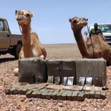 El ejército saharaui intercepta un cargamento de droga procedente del muro marroquí — El Confidencial Saharaui