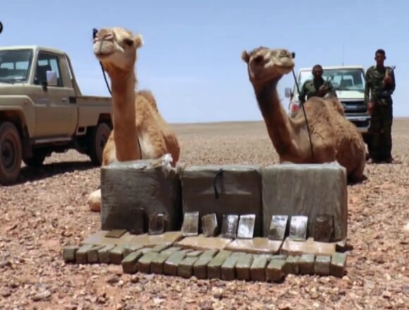 El ejército saharaui intercepta un cargamento de droga procedente del muro marroquí — El Confidencial Saharaui