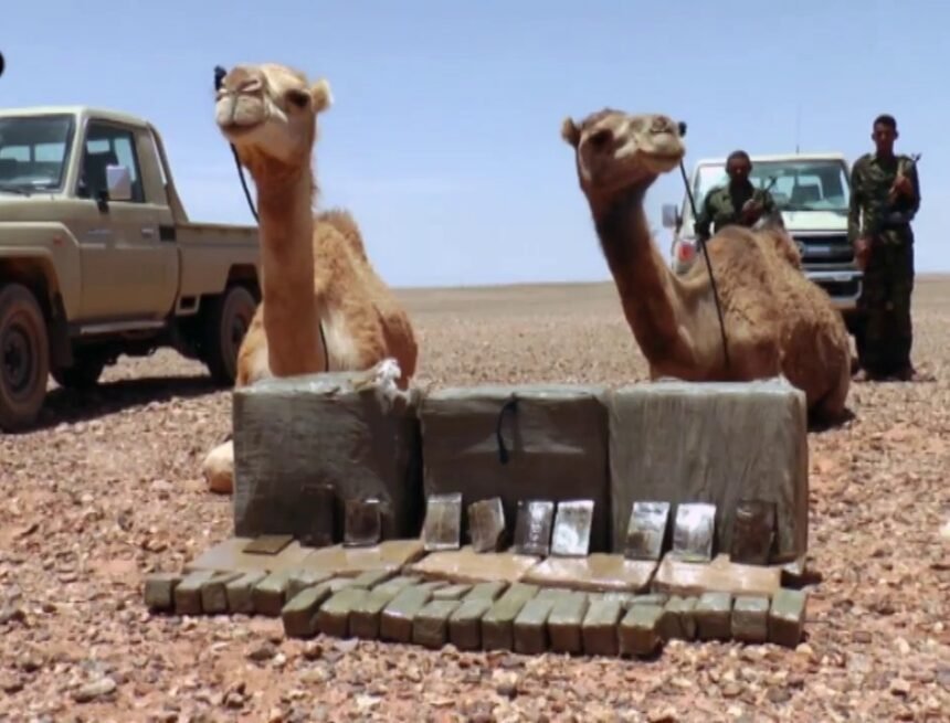 El ejército saharaui intercepta un cargamento de droga procedente del muro marroquí — El Confidencial Saharaui