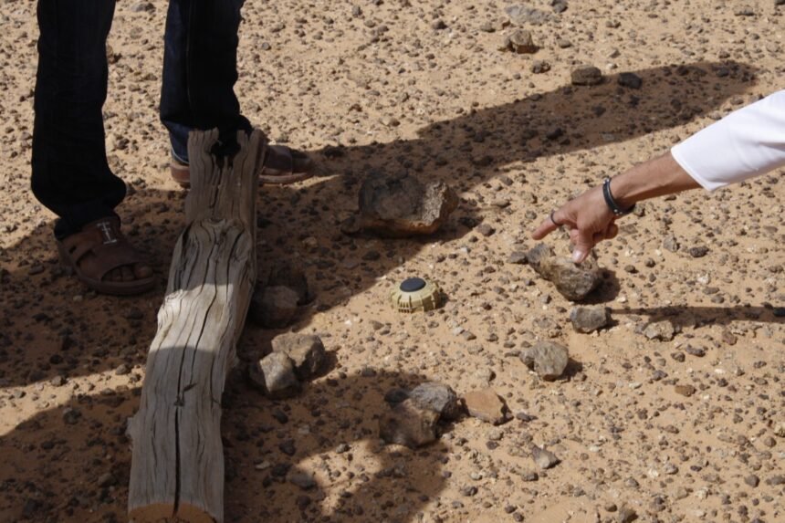 Mines antipersonnel au Sahara occidental, une « honte française » – 24H Algérie