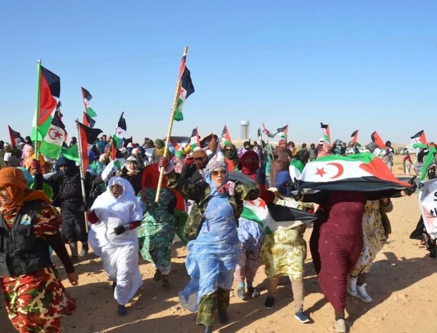 mujeres_saharauis_1 Es hora de que España adopte la legalidad internacional en el caso de la cuestión saharaui, es la única manera de devolver la credibilidad del pueblo saharaui en la democracia española | Sahara Press Service