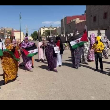 nhy1qa ¡LA ACTUALIDAD SAHARAUI! 26 de noviembre de 2021 ?? ?? ??