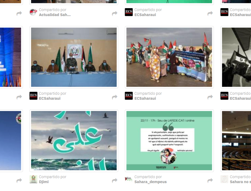 ¡ÚLTIMAS noticias – Sahara Occidental! 19 de noviembre de 2021 ?? ?? ??