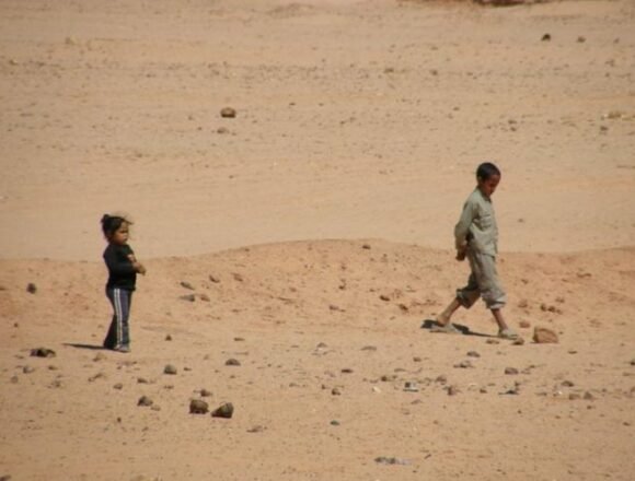 La Actualidad Saharaui: 1 de agosto de 2020 (fin de jornada) ?? | Eid el-Adha Mubarak ??