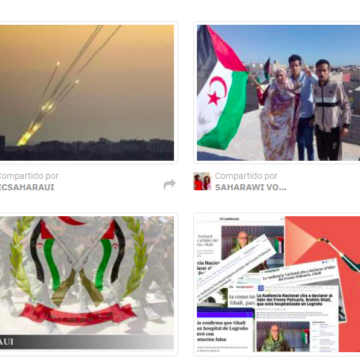 nmkj.lp0_ ¡ÚLTIMAS noticias – Sahara Occidental! 11 de mayo de 2021