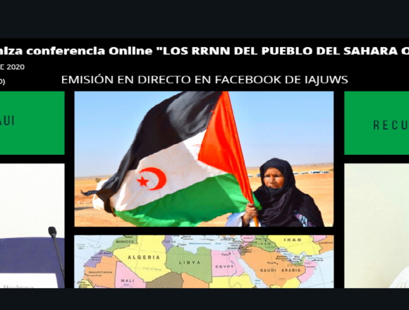 Conferencia online: “LOS RECURSOS NATURALES DEL PUEBLO DEL SAHARA OCCIDENTAL” | Sahara Press Service