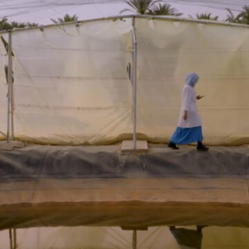 peces La #ActualidadSaharaui: 23 de enero de 2021 ??