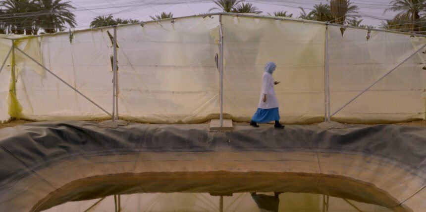 La #ActualidadSaharaui: 23 de enero de 2021 ??