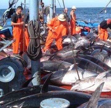 Accord de pêche Maroc-UE: le Polisario dénonce le vote de la Commission du PE | Sahara Press Service