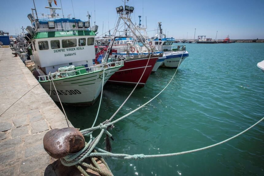 Los polémicos acuerdos para extraer recursos del Sahara que pactan la UE y Marruecos / cuartopoder.es