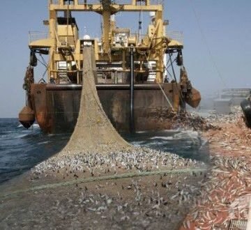 EU-Morocco Fisheries Agreement: “It’s not evident that European Parliament will approve new agreement” | Sahara Press Service