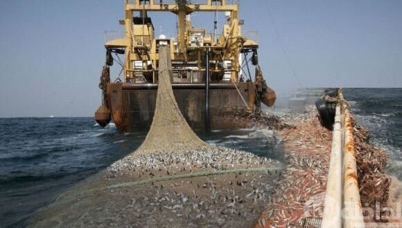 plunder_ws_4 EU-Morocco Fisheries Agreement: “It’s not evident that European Parliament will approve new agreement” | Sahara Press Service