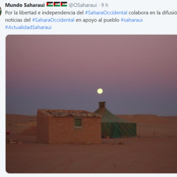 pnolik-1 ⚡️ ?? La #ActualidadSaharaui HOY, 8 de enero de 2019 ??