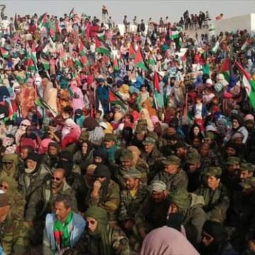 ¡ÚLTIMAS noticias – Sahara Occidental! 12 de marzo de 2021