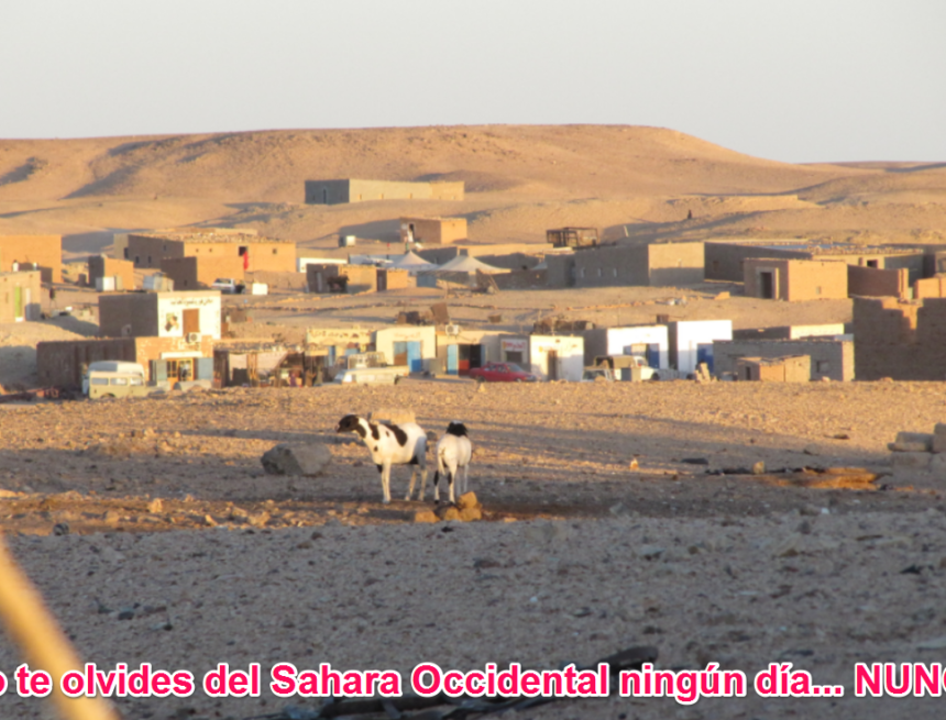 q21q123 La Actualidad Saharaui: 27 de junio de 2020 ??