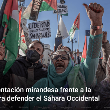 Representación mirandesa frente a la ONU para defender el Sáhara Occidental – La de Miranda TV