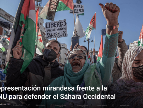 Representación mirandesa frente a la ONU para defender el Sáhara Occidental – La de Miranda TV