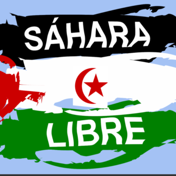 La Actualidad Saharaui: 22 de noviembre de 2020 ??