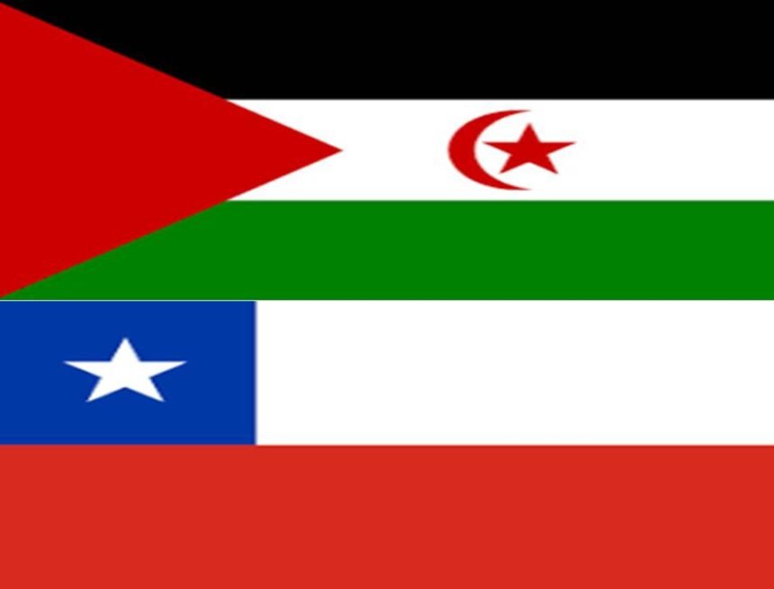 rasd_y_chile CHILE: Solicitan reconocimiento a la República Saharaui y el establecimiento de relaciones diplomáticas | Sahara Press Service