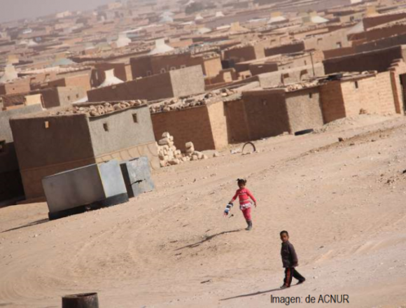 refugiados-saharauis_-696x464 Reducen las raciones de comida para los refugiados saharauis – Diario16