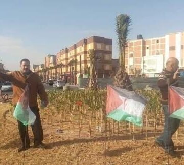Ali Saadouni, la tenacidad de la lucha saharaui | Contramutis