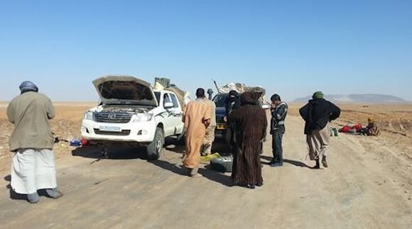 Bubisher TODAS LAS FIEBRES LA FIEBRE