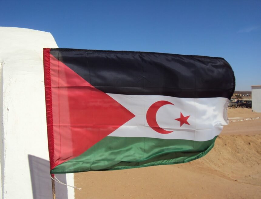 La Actualidad Saharaui: 17 de julio de 2020 (fin de jornada) ??