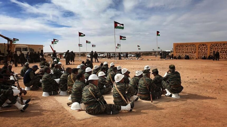 ¿Nueva guerra del Sahara? Una catástrofe geopolítica | elminuto