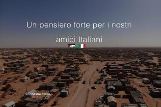 Saharauis lanzan una campaña de solidaridad con España, Italia y Argelia | noticiasdenavarra.com