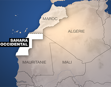 ¡ÚLTIMAS noticias contra el silencio informativo del Sahara Occidental!