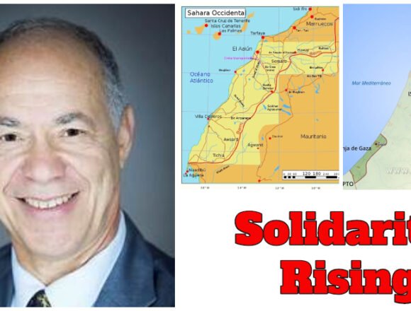 Video Conferencia «La israelización del conflicto del Sáhara Occidental» con el Dr. Yahia Zoubir |  PUSL