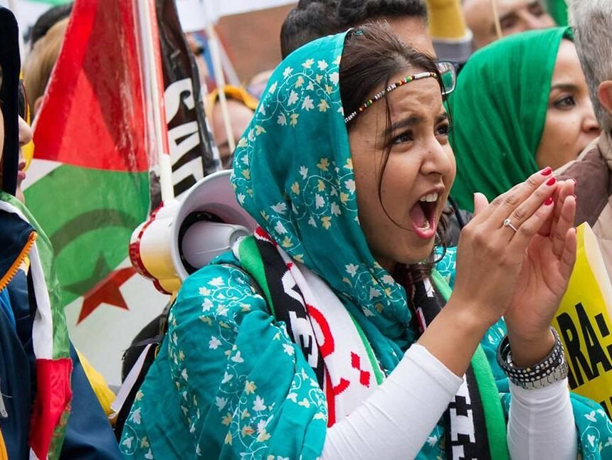 Las mujeres jóvenes saharauis. A propósito de un encuentro esperanzador. — El Confidencial Saharaui