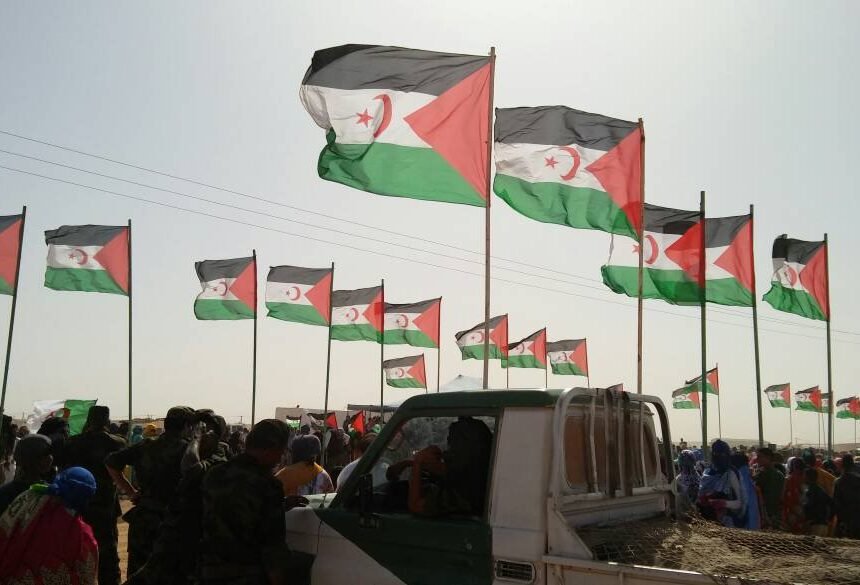 sahara_1 El Pleno del Ayuntamiento de Zamora aprueba por unanimidad una moción de apoyo a la justa lucha del pueblo Saharaui | Sahara Press Service