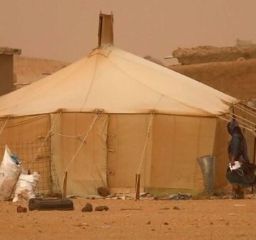 Delegaciones internacionales constatan situación del pueblo saharaui | Noticias | teleSUR