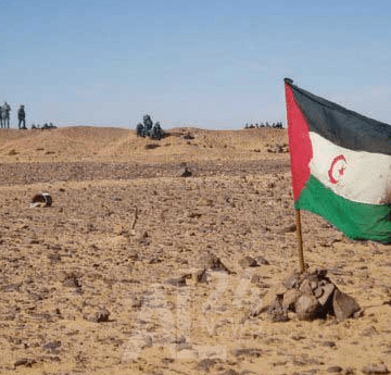 Berlin devrait faire comprendre au Maroc qu’il doit mettre fin à l’occupation du Sahara occidental – AL24 News