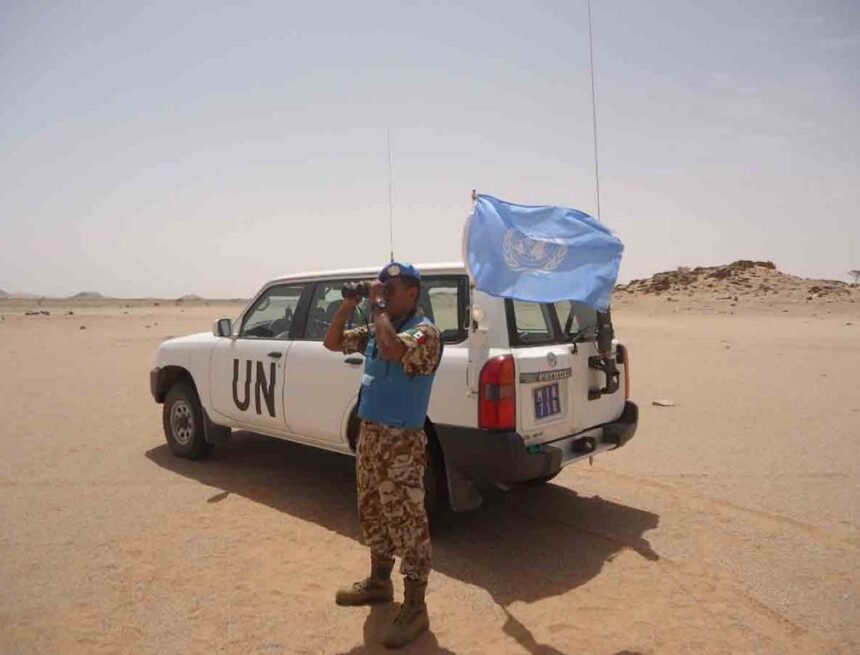 Las Naciones Unidas en el Sáhara Occidental: ¿Paz sin honor? | elminuto