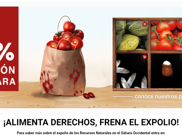 sdfghj Bubisher | CORAJE – Javier Bonet