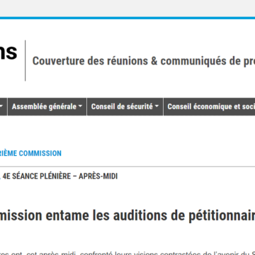 La Quatrième Commission entame les auditions de pétitionnaires sur le Sahara occidental | UN Press