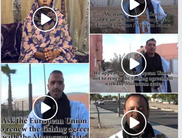 sedrftg Activistas saharauis: Toda riqueza que salga de nuestras tierras, estará manchada de sangre saharaui
