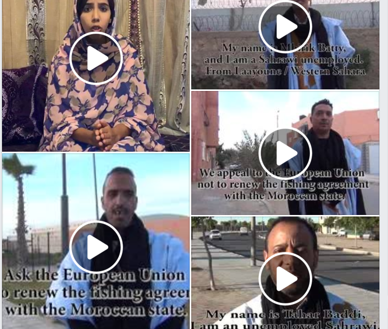 sedrftg Activistas saharauis: Toda riqueza que salga de nuestras tierras, estará manchada de sangre saharaui