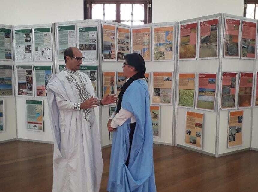 semana-2 Ecuador y la RASD estrechan relaciones de amistad y cooperación en Semana Cultural Internacional — Sahara Press Service