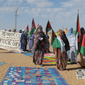 sertyhj ¡LA ACTUALIDAD SAHARAUI! – 8/7/2023 – NOTICIAS del Sahara Occidental