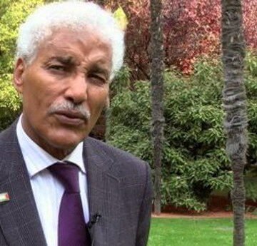 Le rôle négatif de la France dans la question sahraouie complique la tâche de l’ONU | Sahara Press Service