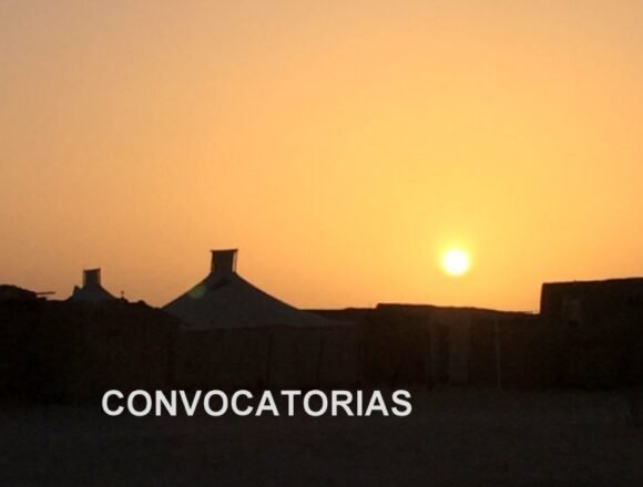skitc5-001 Convocatorias: FASPS-País Valencià: JORNADA DERRIBANT MURS AL SÀHARA