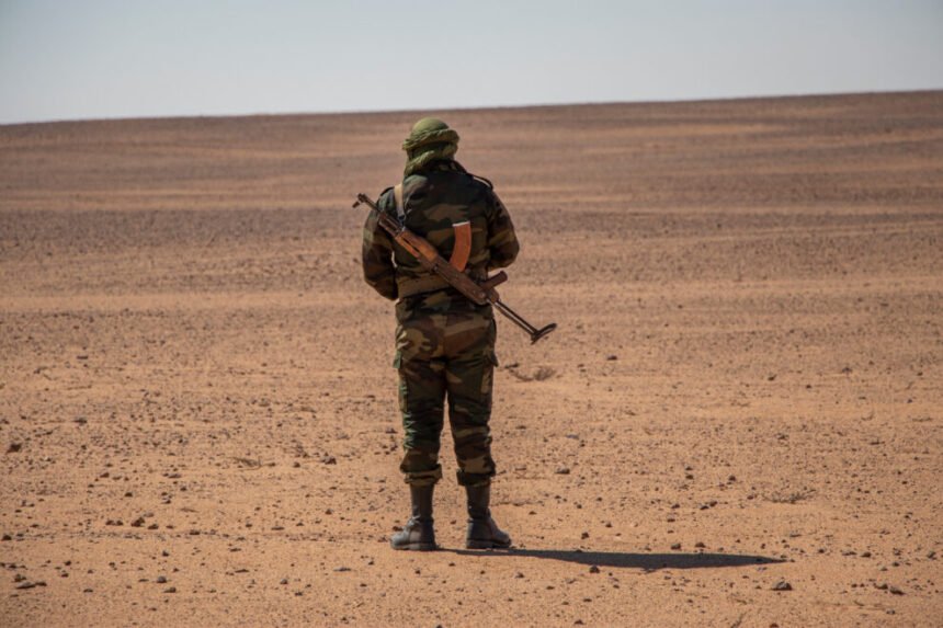 Medio siglo de lucha y resistencia supone la consolidación de un movimiento legendario: el Frente Polisario