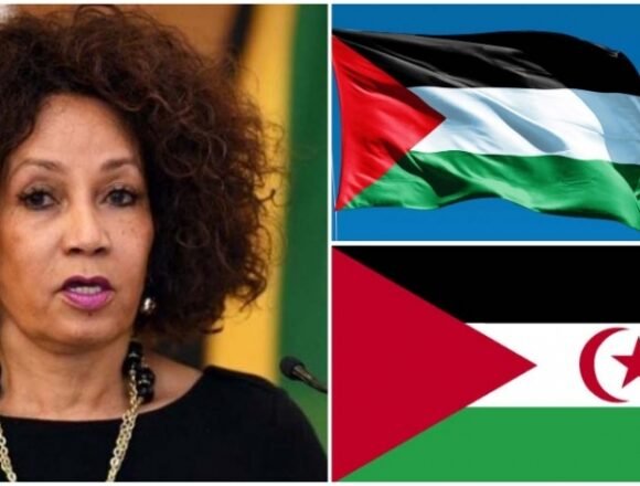 Canciller sudafricana reitera apoyo a Palestina y República Saharaui(PRENSA) | Sahara Press Service