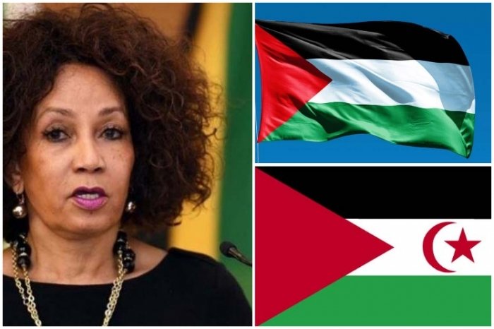 Canciller sudafricana reitera apoyo a Palestina y República Saharaui(PRENSA) | Sahara Press Service