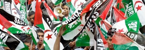 98 Saharawi groups call on European Parliament to reject fish deal – wsrw.org