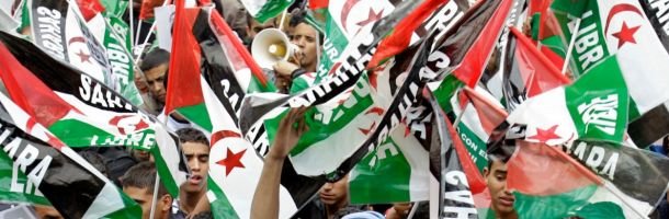 98 Saharawi groups call on European Parliament to reject fish deal – wsrw.org