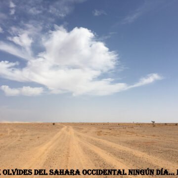 ¡ÚLTIMAS noticias contra el desierto informativo del Sahara Occidental!